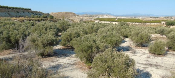 19400m² Land in Murcia, Spain No. 181125 18