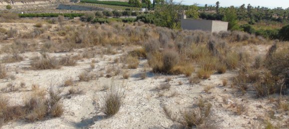 19400m² Land in Murcia, Spain No. 181125 28