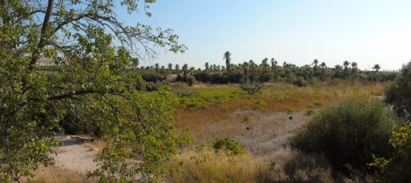 19400m² Land in Murcia, Spain No. 181125 27