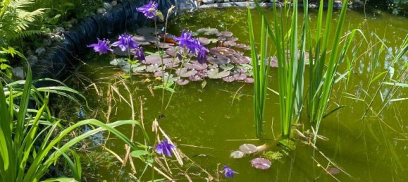 Casa de 7 divisões em Dingolfing-Landau, Germany N.º 307694 18