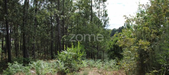 قطعة أرض في Viseu, Portugal 3968متر مربع رقم 91722 31