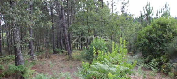 قطعة أرض في Viseu, Portugal 3968متر مربع رقم 91722 28