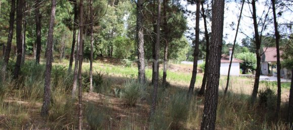 قطعة أرض في Viseu, Portugal 3968متر مربع رقم 91722 17