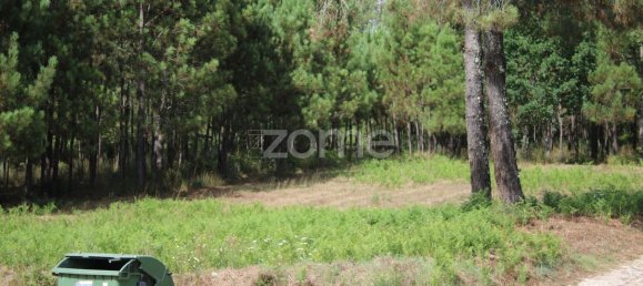 قطعة أرض في Viseu, Portugal 3968متر مربع رقم 91722 6