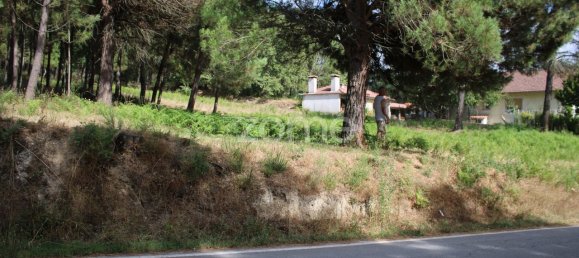 قطعة أرض في Viseu, Portugal 3968متر مربع رقم 91722 11