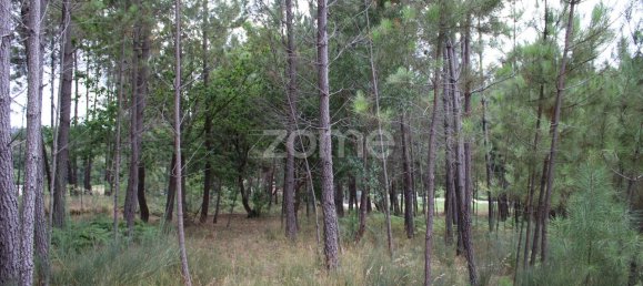 قطعة أرض في Viseu, Portugal 3968متر مربع رقم 91722 27