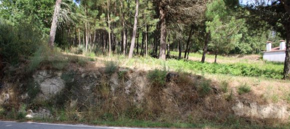 قطعة أرض في Viseu, Portugal 3968متر مربع رقم 91722 12