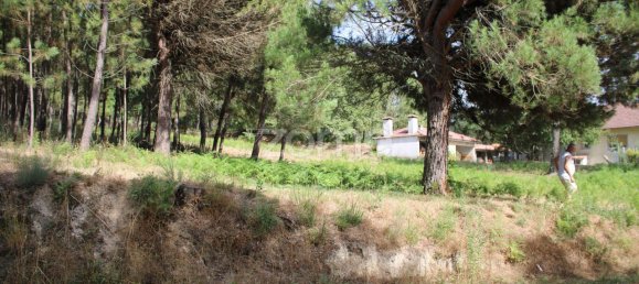 قطعة أرض في Viseu, Portugal 3968متر مربع رقم 91722 9