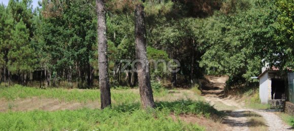 قطعة أرض في Viseu, Portugal 3968متر مربع رقم 91722 20