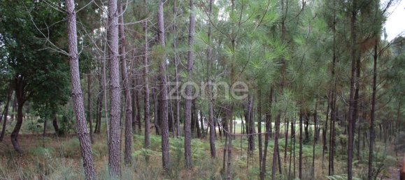 قطعة أرض في Viseu, Portugal 3968متر مربع رقم 91722 25