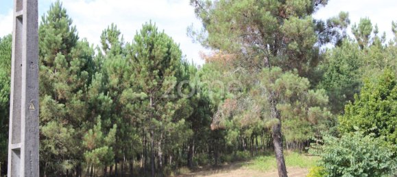 قطعة أرض في Viseu, Portugal 3968متر مربع رقم 91722 33