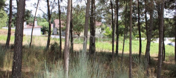 قطعة أرض في Viseu, Portugal 3968متر مربع رقم 91722 13