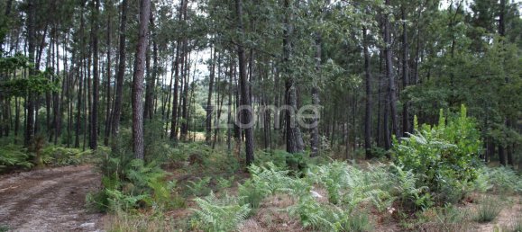 قطعة أرض في Viseu, Portugal 3968متر مربع رقم 91722 29