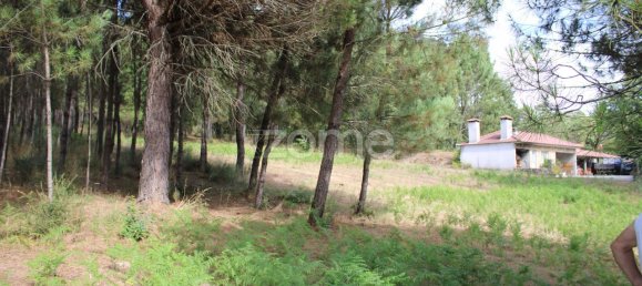 قطعة أرض في Viseu, Portugal 3968متر مربع رقم 91722 10