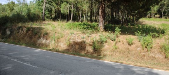 قطعة أرض في Viseu, Portugal 3968متر مربع رقم 91722 8