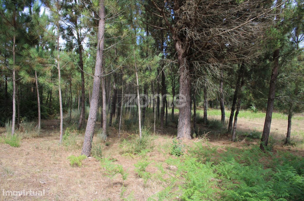  قطعة أرض في Viseu, Portugal 3968متر مربع رقم 91722