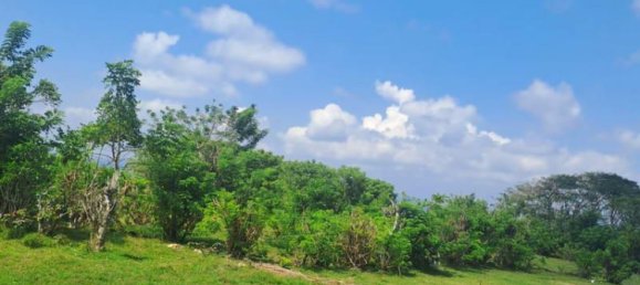 Terreno en South Kuta, Indonesia 9300 m² No. 4409 7