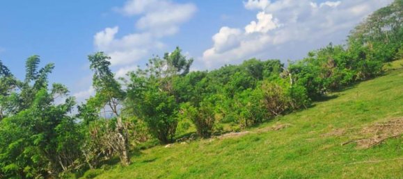 Terreno en South Kuta, Indonesia 9300 m² No. 4409 6