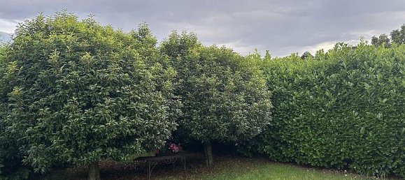 5غرفة منزل في Oldenburg, Germany رقم 277150 31