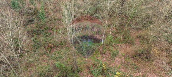 Casa T3 em Vale de Bouro, Portugal N.º 37491 19