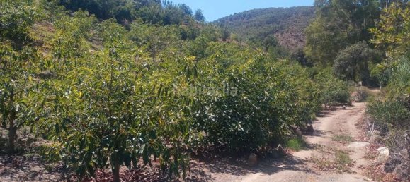 3 bedrooms House in Tolox, Spain No. 154620 15