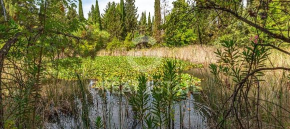 12 bedrooms House in Castelfiorentino, Italy No. 237569 31