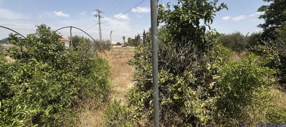 6 bedrooms House in Los Martinez Del Puerto, Spain No. 166378 4