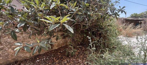 6 bedrooms House in Los Martinez Del Puerto, Spain No. 166378 31