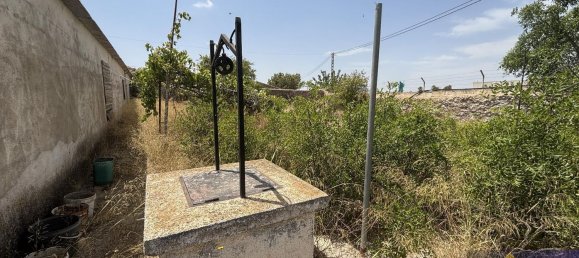 6 bedrooms House in Los Martinez Del Puerto, Spain No. 166378 6