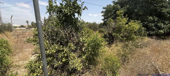 6 bedrooms House in Los Martinez Del Puerto, Spain No. 166378 3