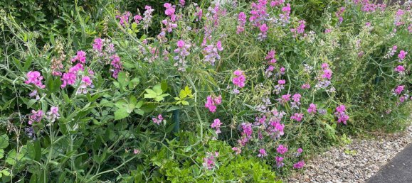 7-Zimmer Haus in Wetteraukreis, Germany, Nr. 248956 48