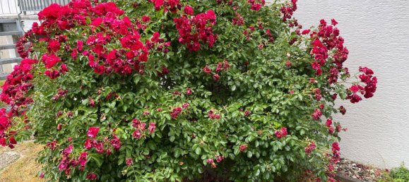 7-Zimmer Haus in Wetteraukreis, Germany, Nr. 248956 47