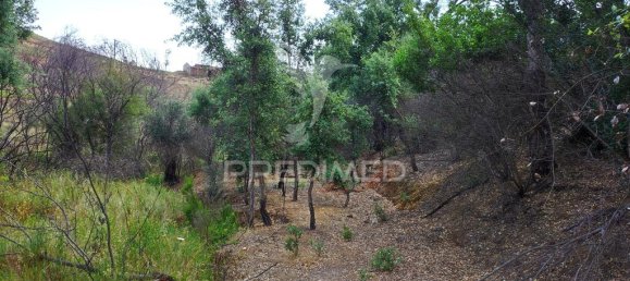 6 Schlafzimmer Haus in Saboia, Portugal, Nr. 31336 15