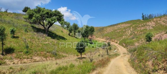 6 Schlafzimmer Haus in Saboia, Portugal, Nr. 31336 16