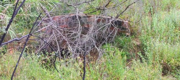 6 Schlafzimmer Haus in Saboia, Portugal, Nr. 31336 18
