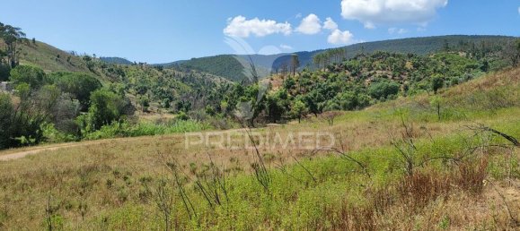 6 Schlafzimmer Haus in Saboia, Portugal, Nr. 31336 17