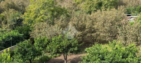 3 bedrooms Apartment in Giffoni Sei Casali, Italy No. 260857 5