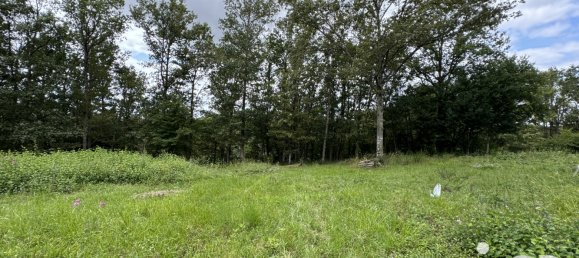 2894m² Land in Montbouy, France No. 104470 2