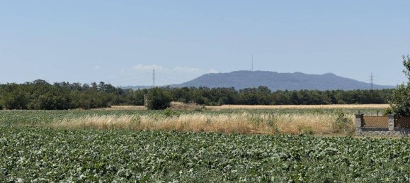 4غرفة تاون هاوس في Gerasdorf bei Wien, Austria رقم 147286 26