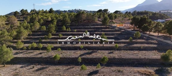 Terrain à La Nucia, Spain 16500m² No. 42084 4