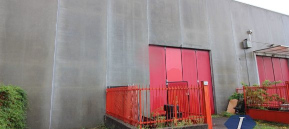 Lagerhaus in Caronno Pertusella, Italy 160m², Nr. 361235 3