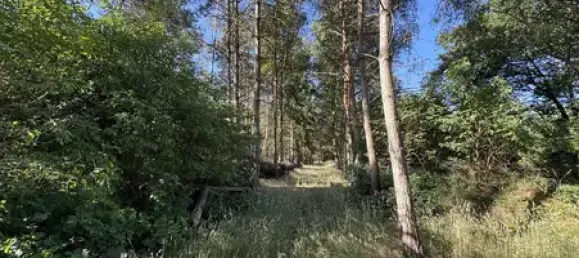 2 Schlafzimmer Haus in Lüchow-Dannenberg, Germany, Nr. 260672 22