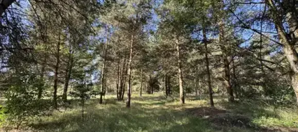 2 Schlafzimmer Haus in Lüchow-Dannenberg, Germany, Nr. 260672 24