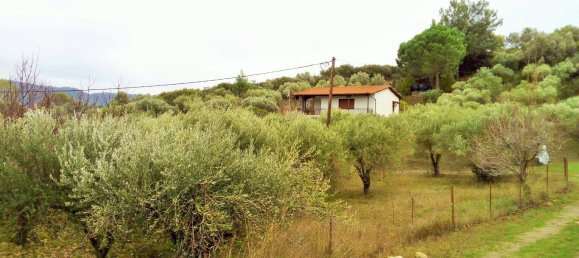 Imóvel comercial T3 em Chalkidiki, Greece N.º 5970 16