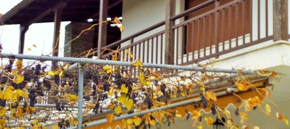 Imóvel comercial T3 em Chalkidiki, Greece N.º 5970 6