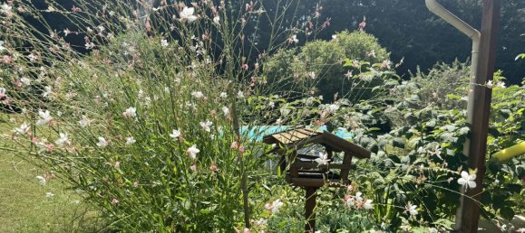 3 Schlafzimmer Haus in Breteau, France, Nr. 248553 11