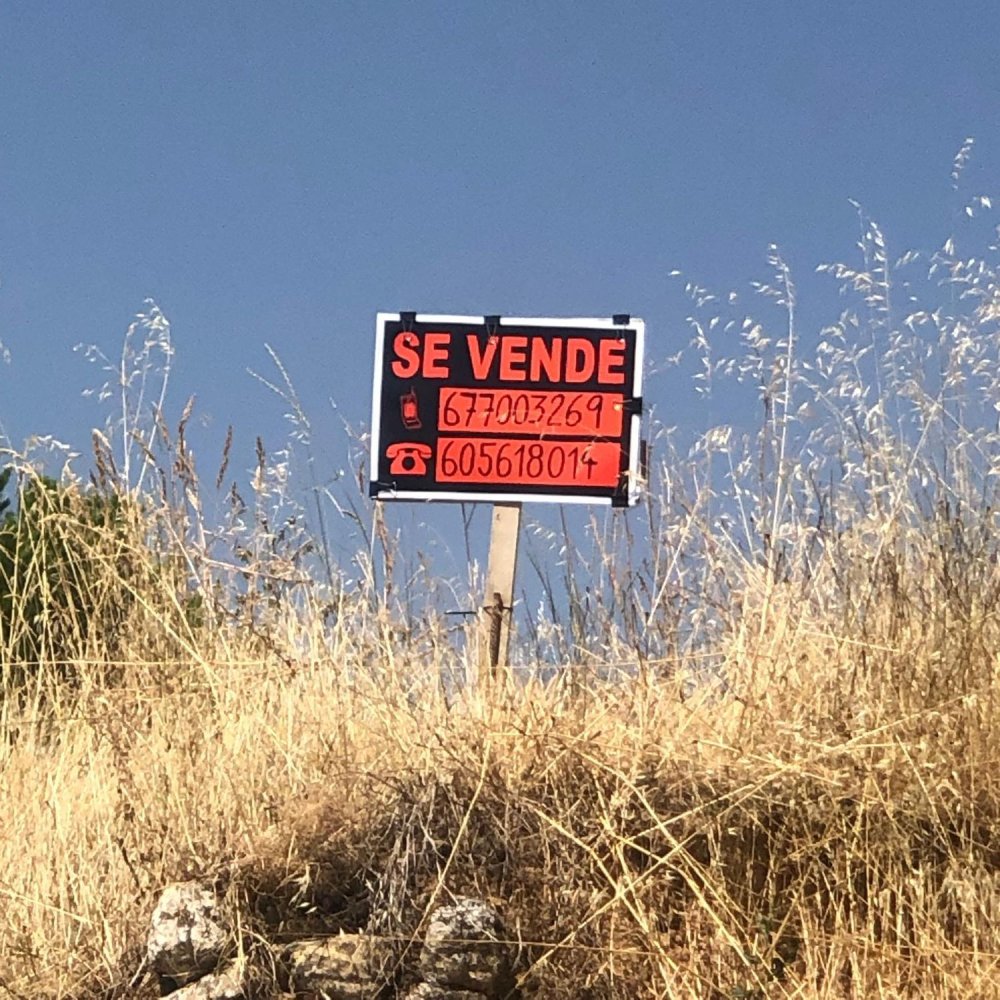  Land in Burgos, Spain No. 198397