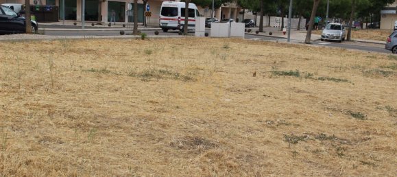 Grundstück in Loule, Portugal 504m², Nr. 325460 14