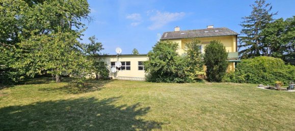 4252m² Land in Neunkirchen, Austria No. 83538 12