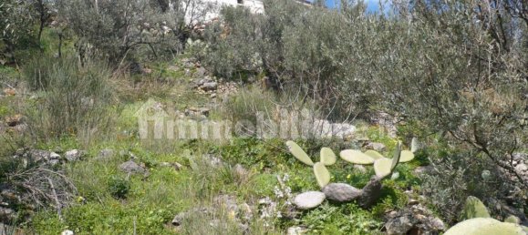 Terrain à Monreale, Italy 3500m² No. 105479 13